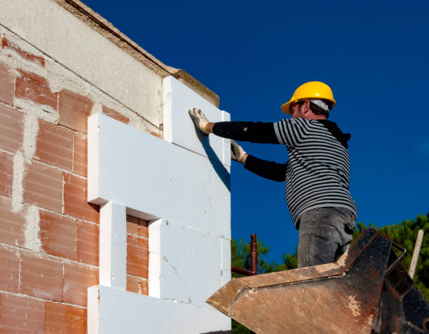 Best Blown-in Insulation in Belzoni, MS