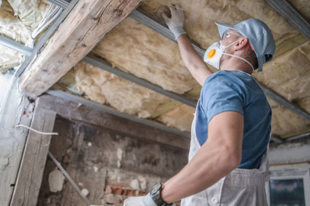 Types of Insulation We Offer in Belzoni, MS