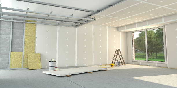 Best Geographic-Specific Insulation Services in Belzoni, MS