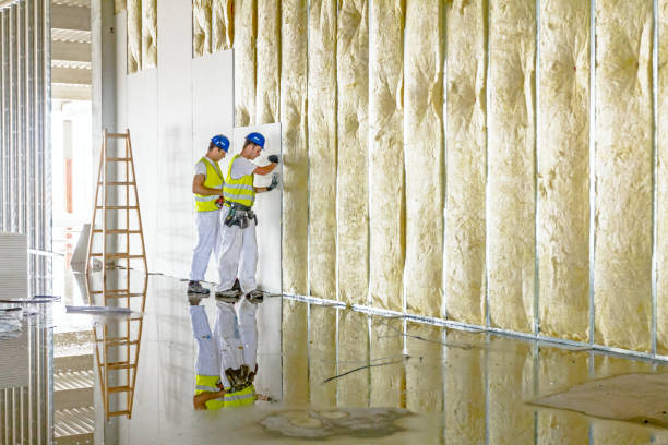 Best Fiberglass Insulation in Belzoni, MS